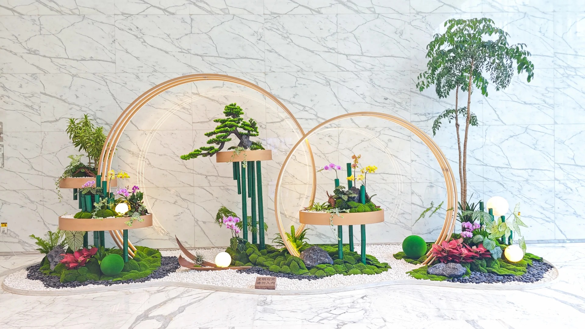 了解宁波前湾花卉租摆哪家好,赶紧来瞧瞧!